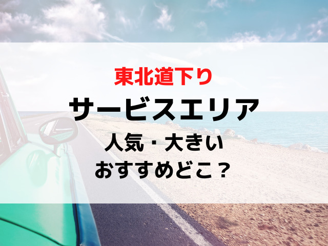 東北道サービスエリア下りで人気の大きいおすすめ4選は？