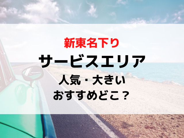 新東名サービスエリア下りで人気の大きいおすすめの場所どこ？