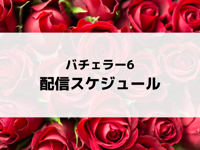 バチェラー6配信日いつから時間何時から？情報解禁や予告の公開いつか予想！