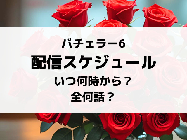 バチェラー6配信日いつから時間何時から？全何話までか配信スケジュールを紹介！